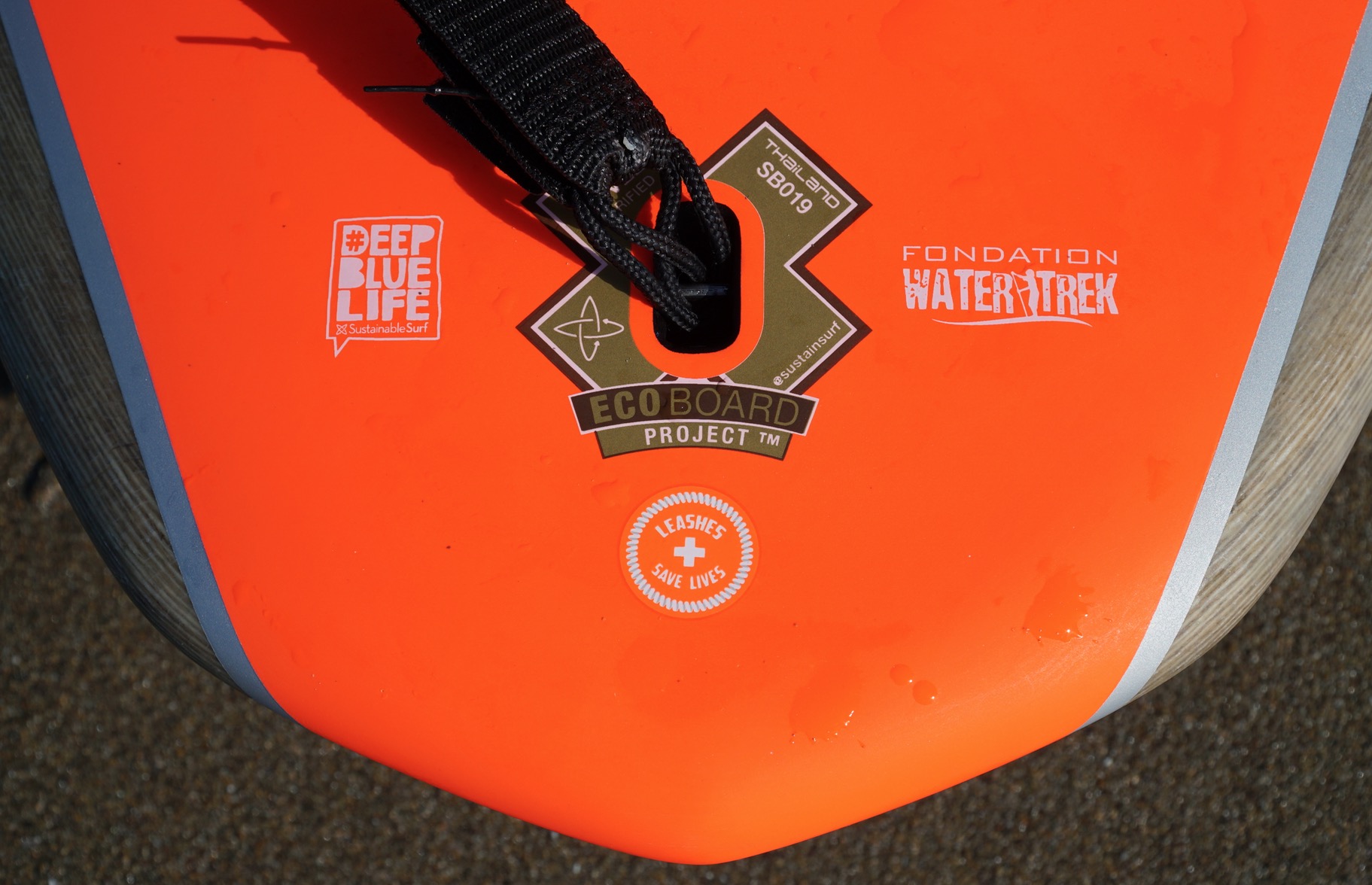 Starboard Longboard 2019 / Surf SUP video review